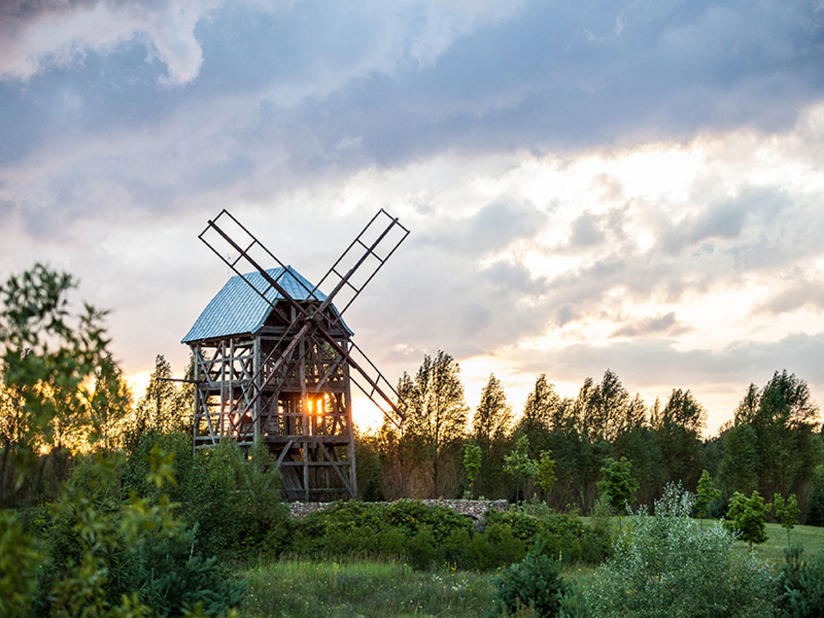 Hotel Nosselia, ogród / park